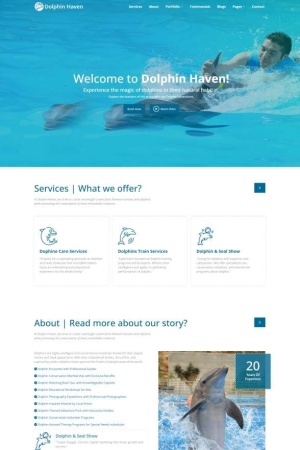 HTML5藍(lán)色海豚館宣傳網(wǎng)站模板-Toy模板網(wǎng)編號(hào)19964